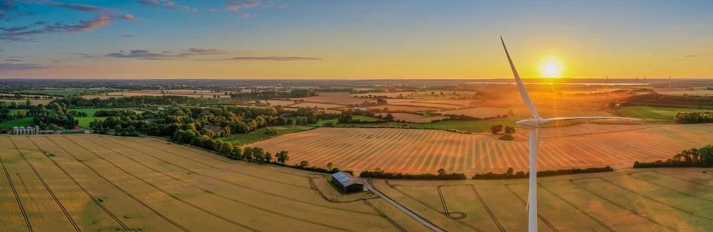 Field Sunset