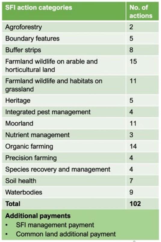 SFI action summary table