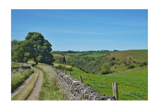 Farm track next to drystone wall